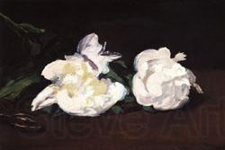 Edouard Manet Branch of White Peonies and Shears Germany oil painting art